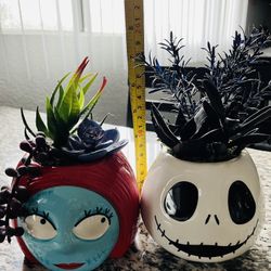 Nbc 2019 Succulents