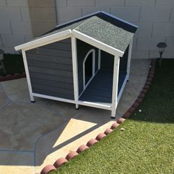 Capital Para Perro Pequeño 