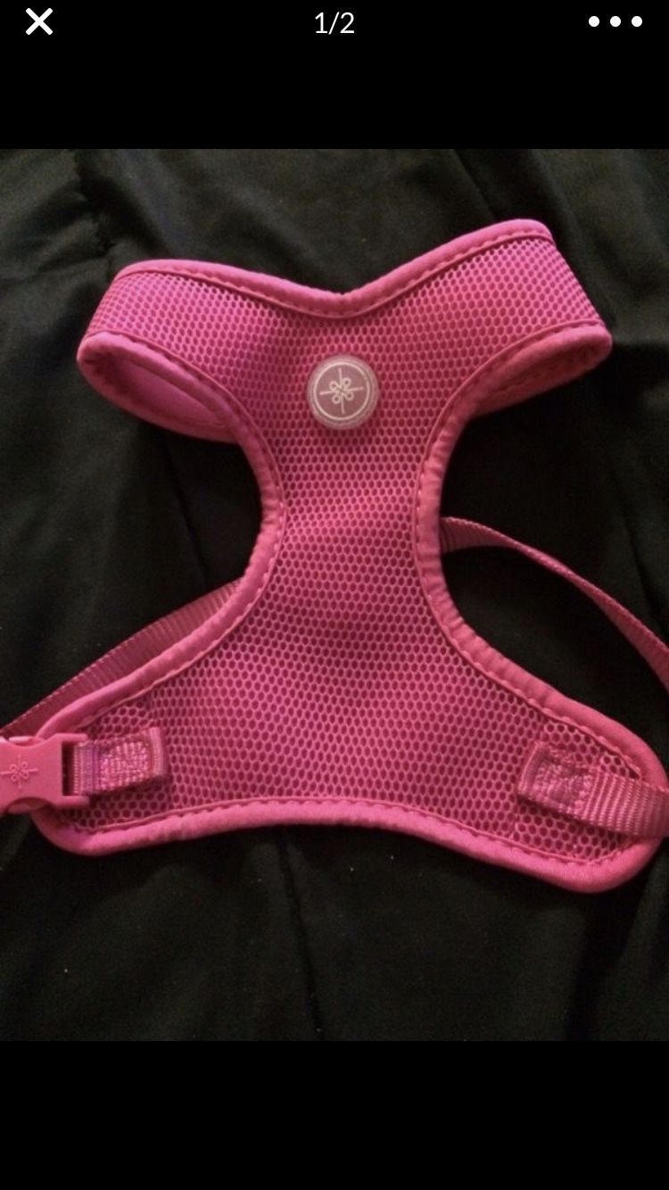 Dog Harness