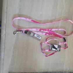 Dog Leach And Harness 
