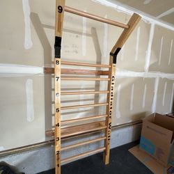 Suples Gladiator Wall (Swedish Ladder) with Bench