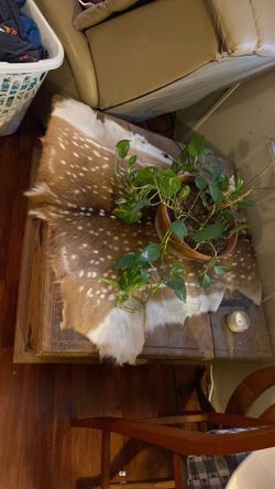 Wooden storage coffee table