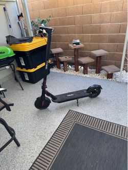 hi boy, scooter