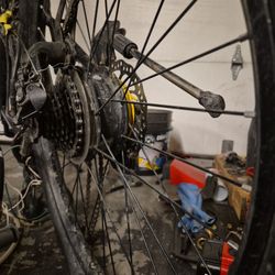 Hub Motor 29er With / Rim