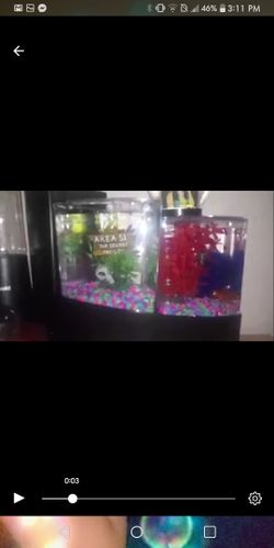 Fish tank separator