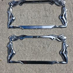 Exotic Chrome license plate frames.