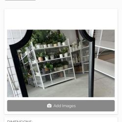 Wall Mirror 
