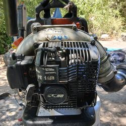 Echo Backpack Leaf Blower