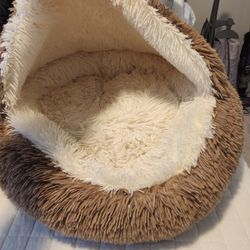 Dog Bed