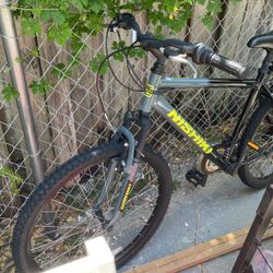 Nishiki Bike