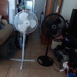 Standing Fans 2 for $50