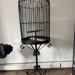 Parrots birds cage