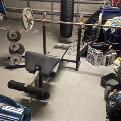 305lb Bench Press Set Up With Preacher Pad And Leg Curl/extension 