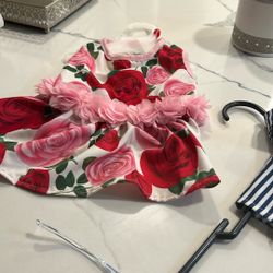 Size small doggy outfits