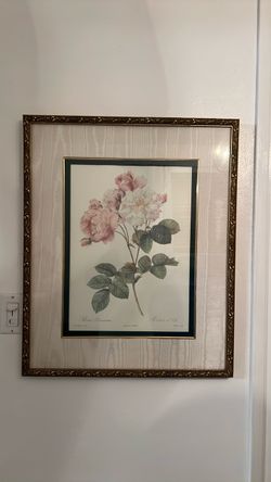 Framed Botanical Rose Print Rosa Damascena