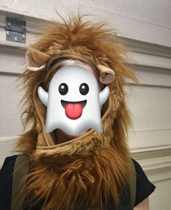 Lion Mane for XL dog costume