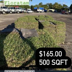 SOD (St. Augustine Floratam) $165 Per Pallet