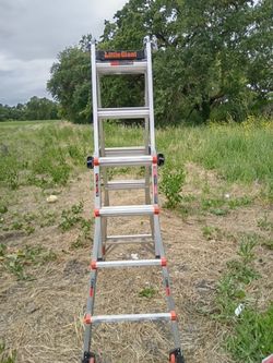 Lil giant ladder