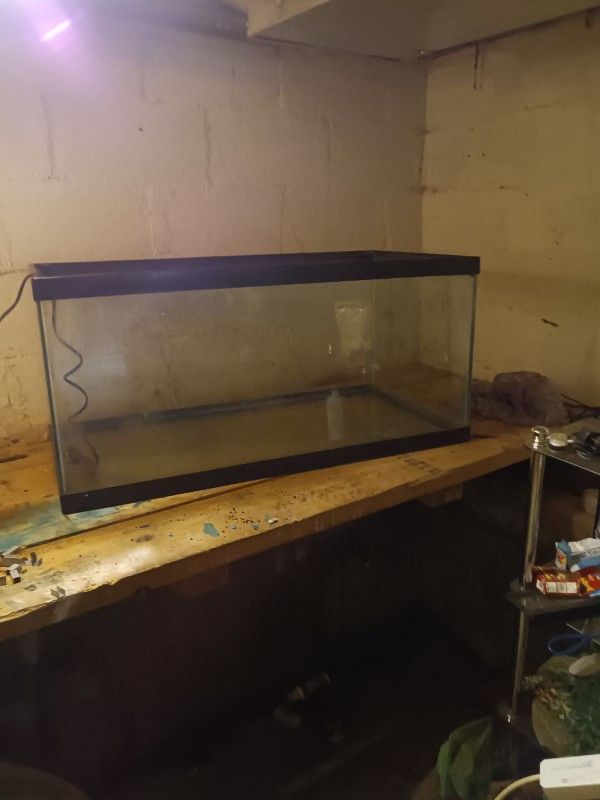 40 Gallon Fish Tank 