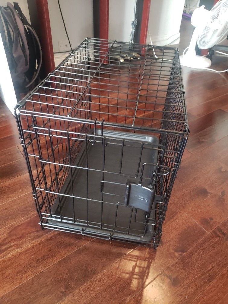 Collapsible Wire Dog Crate, 22 inch