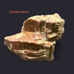 Petrified Genuine Wood from Arizona 188.1g