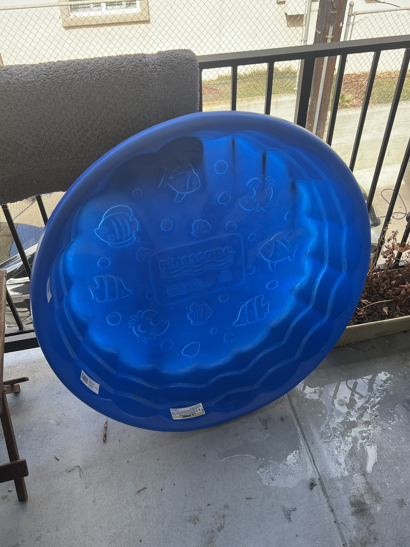 Dog Or Kid Small Pool