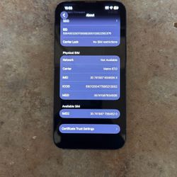 Unlocked To Any Carrier iPhone 13