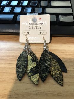 Fashion Earrings 