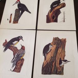Set of Four Vintage Bird Maniscalco Litho Prints, 1968