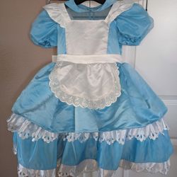 Alice Costume