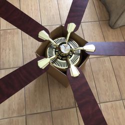 Fan Needs Light Rewired