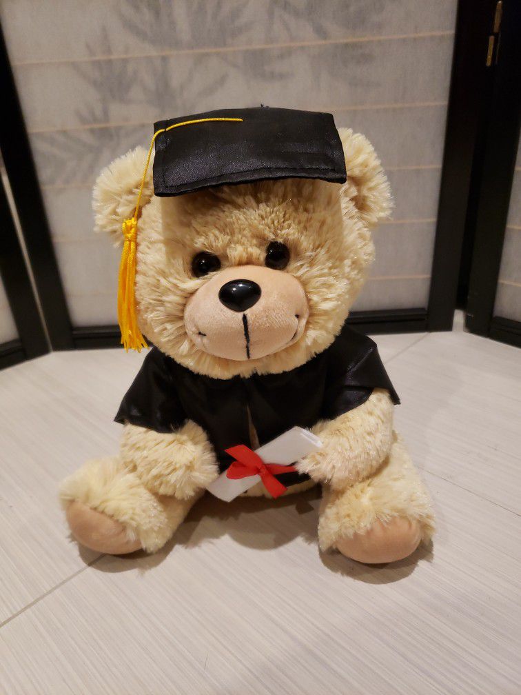 Graduation Teddy Bear 10" Tall