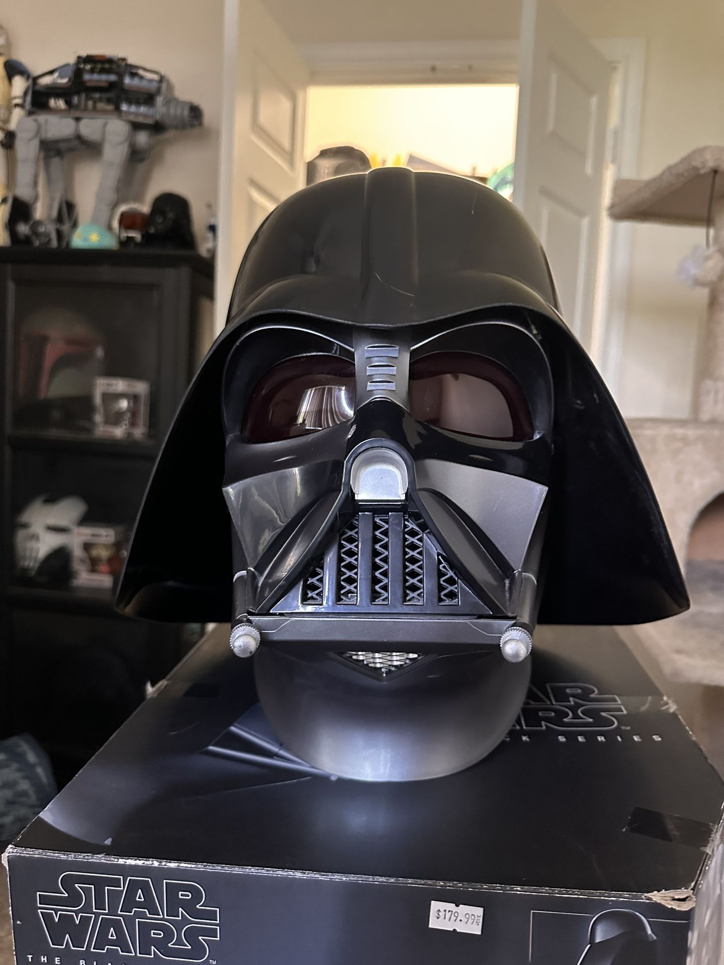 Darth Vader Black Series Helmet