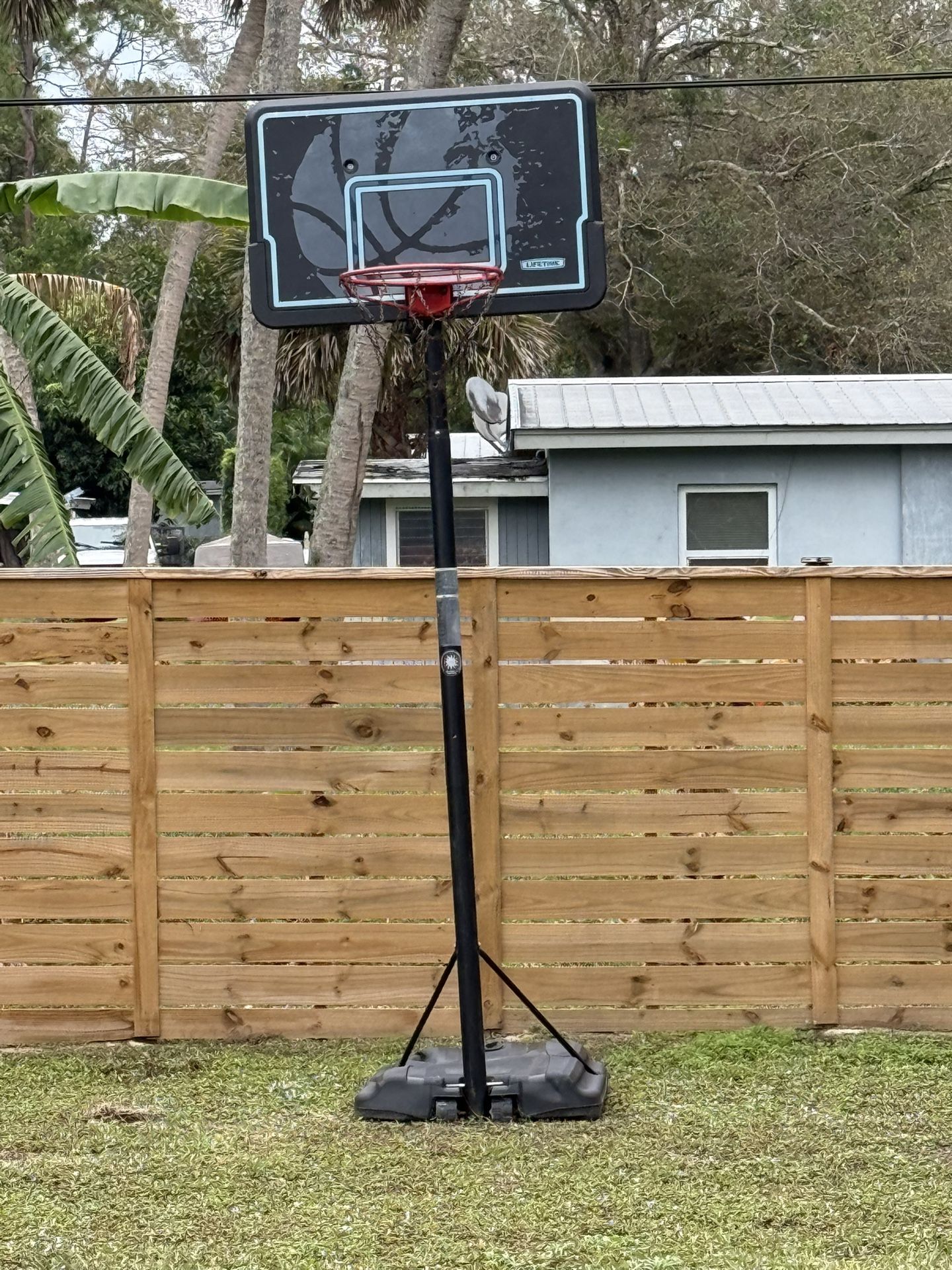 Lifetime Basketball Hoop