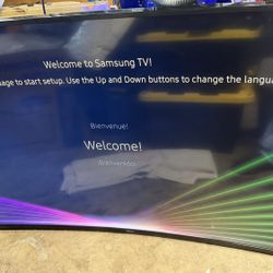 Samsung 65” 4K TV – Works Great (Minor Screen Issue)