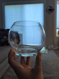 Fish bowl small