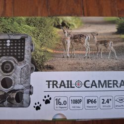 Tail camera