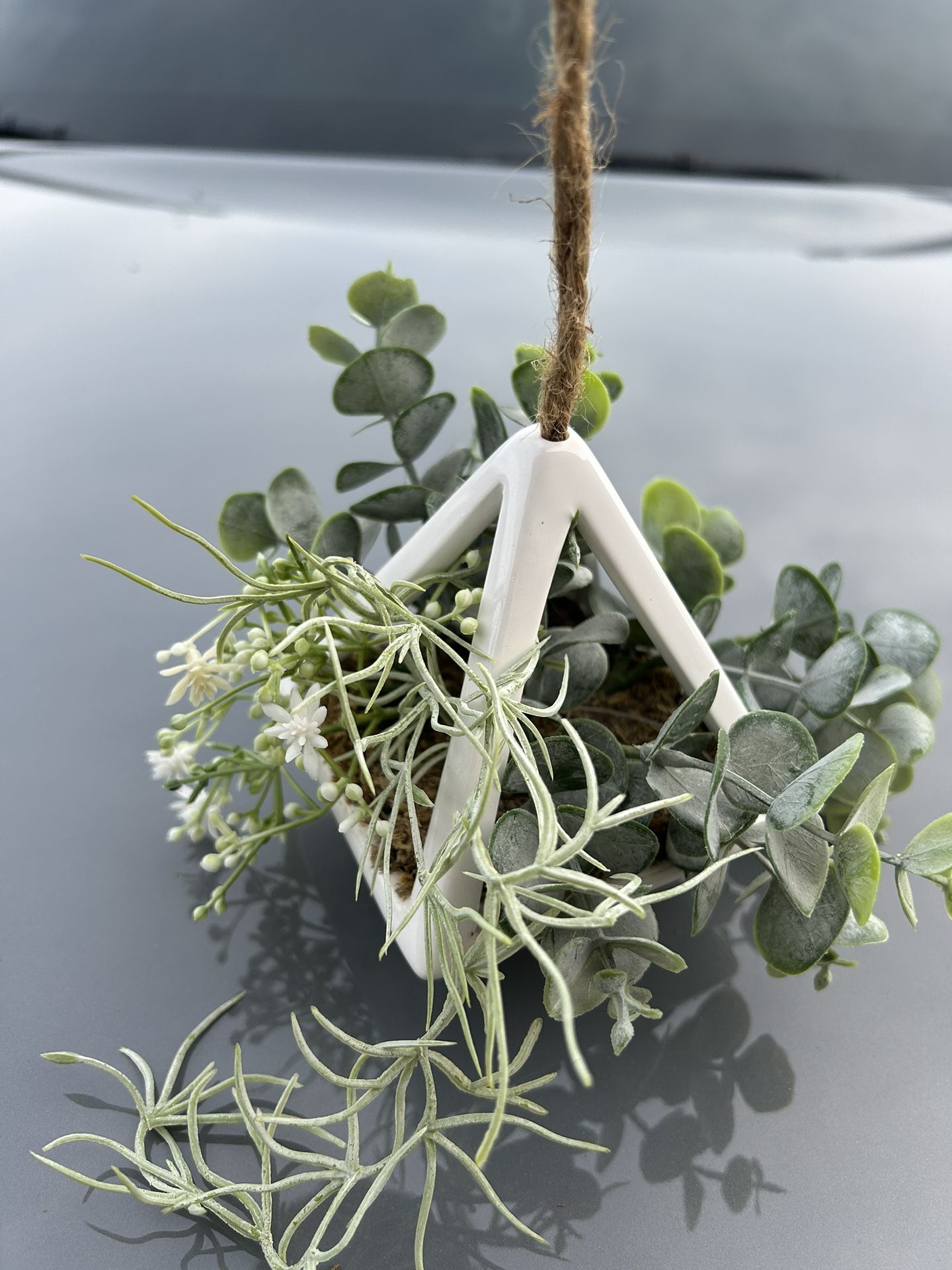 Hanging Succulents Decor