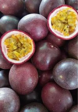 Passion fruit tree