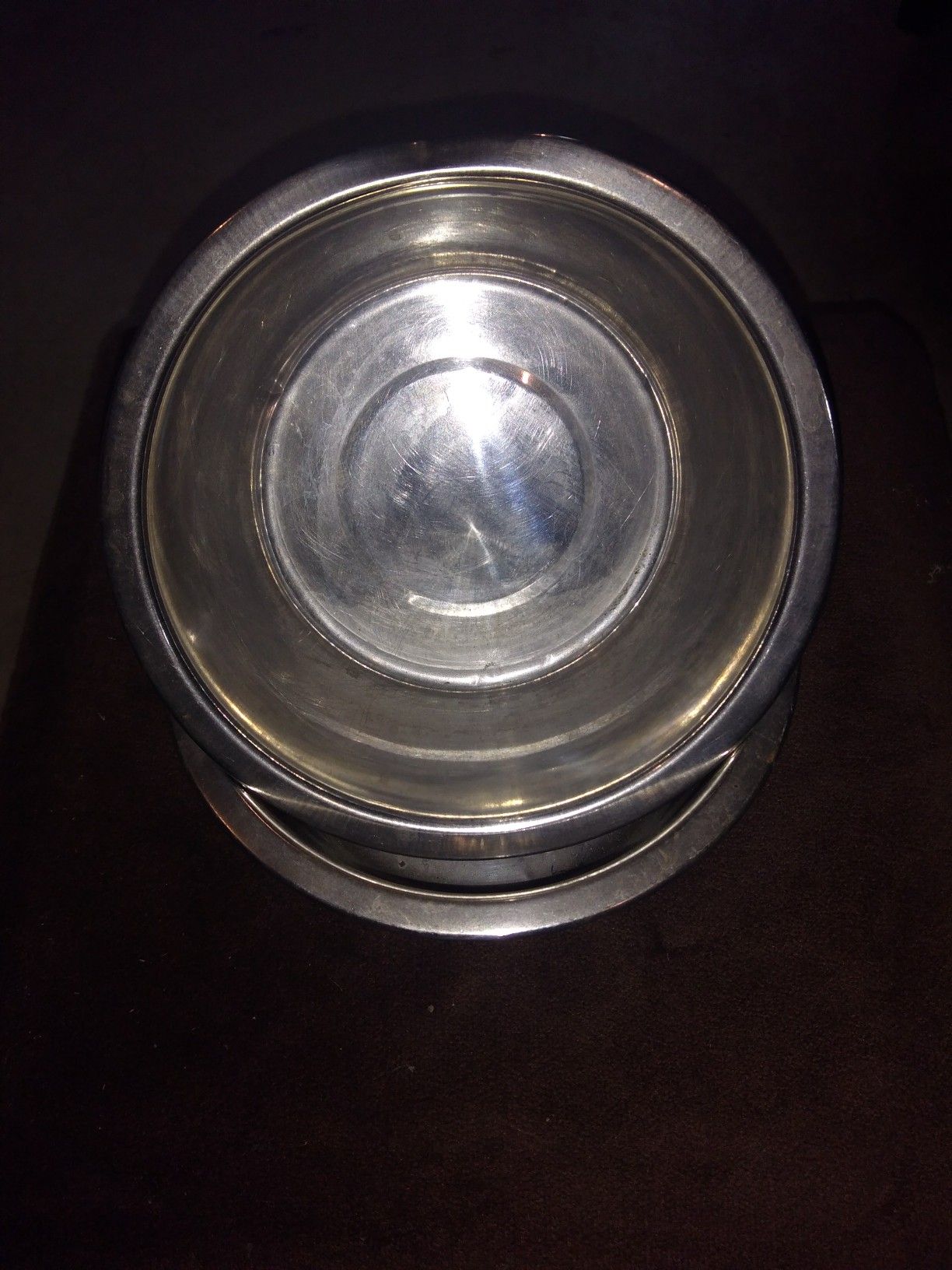 FREE 2 Dog Pet Stainless Bowls