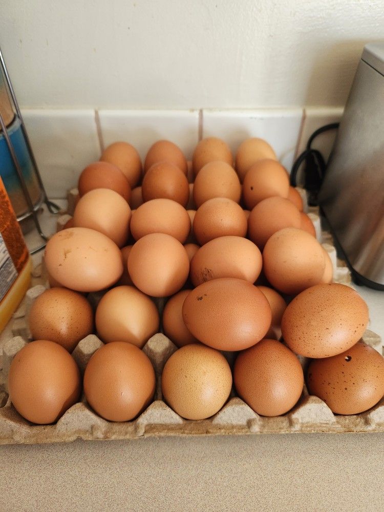 Huevos