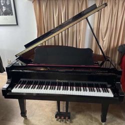 Bergmann Baby Grand Piano In Great Condition Going For Free
