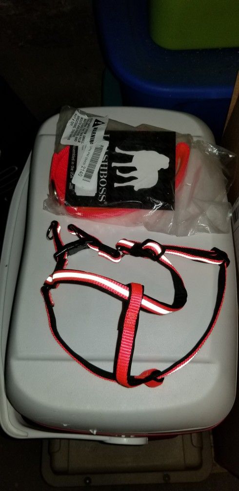 Dog Harness