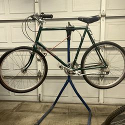 Raleigh Elkhorn 1985 💯 Original 