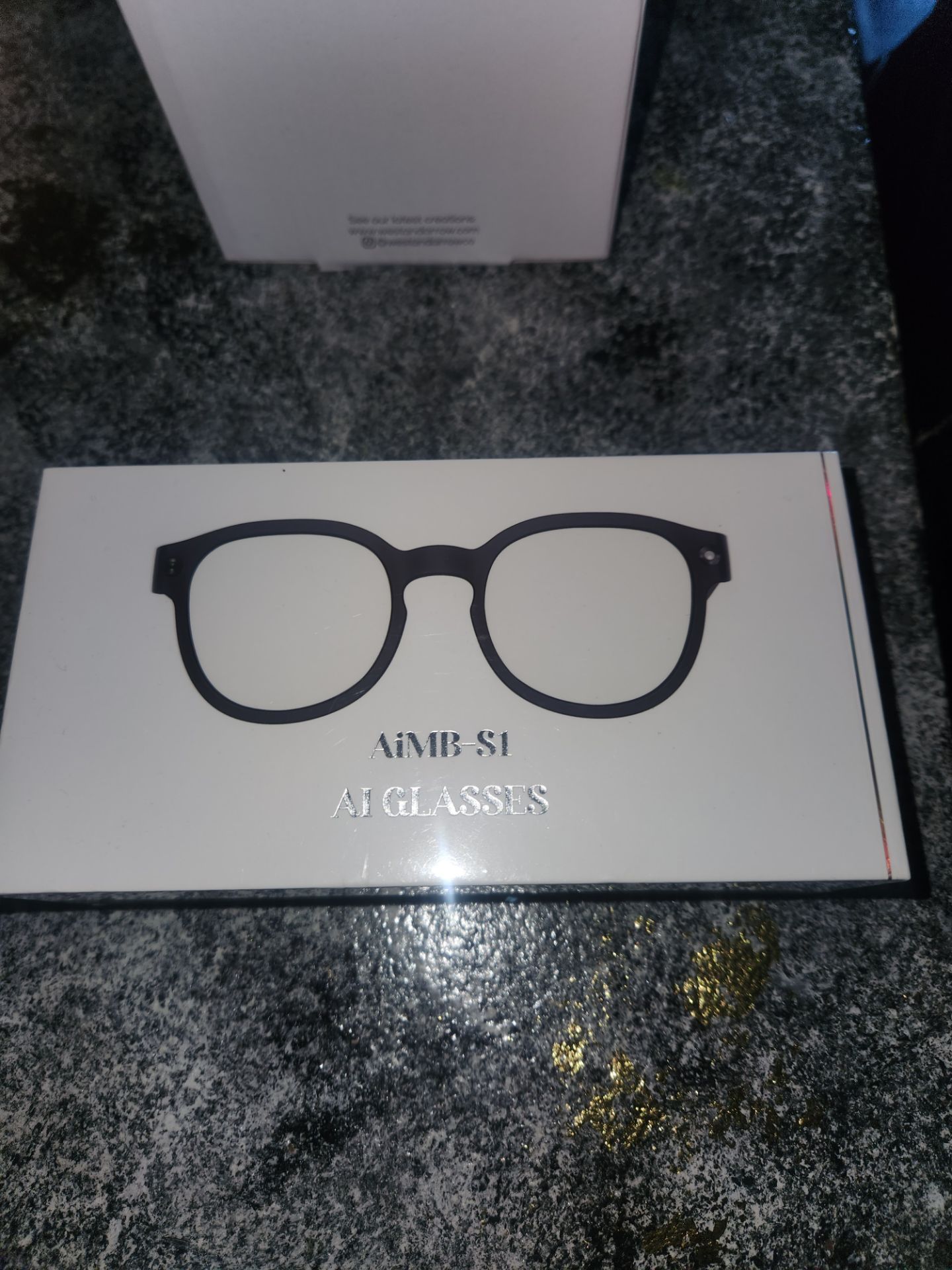 AI META GLASSES