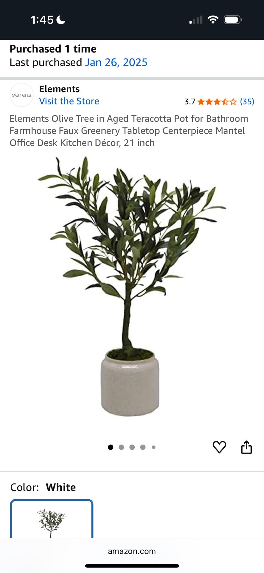 Faux Olive Plant 