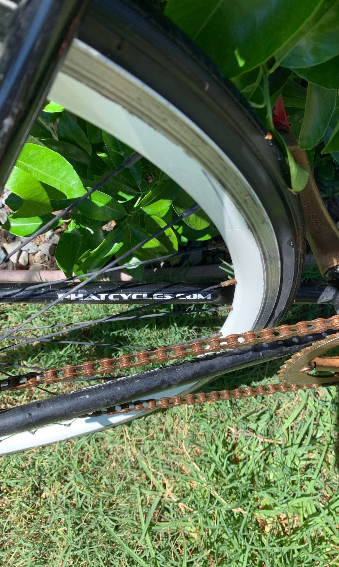 Phat Cycles Phixie Sports & Outdoors