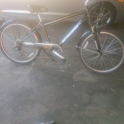 Schwinn Suburban