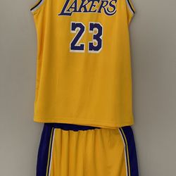 Lakers LeBron James jerseys 15$  