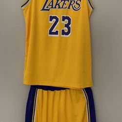 Lakers LeBron James jerseys 15$  